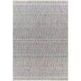 thumbnail image 2 of Mark&Day Outdoor Rugs, 4x6 Antibes Global Indoor/Outdoor Navy Area Rug, Non Shedding Blue Grey Carpet for Patio, Porch, Deck, Bedroom, Living Room or Kitchen (4'3" x 5'11"), 2 of 6