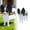 E, variant on Goowood Dog Planter Cute Large Dog Flower Pots For Pet Lovers Animal Plant Pots Indoor Outdoor Garden Decor Flower Pots Gardening supplies