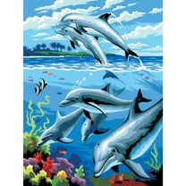 Royal Brush Junior Painting By Numbers, Small, Dolphins