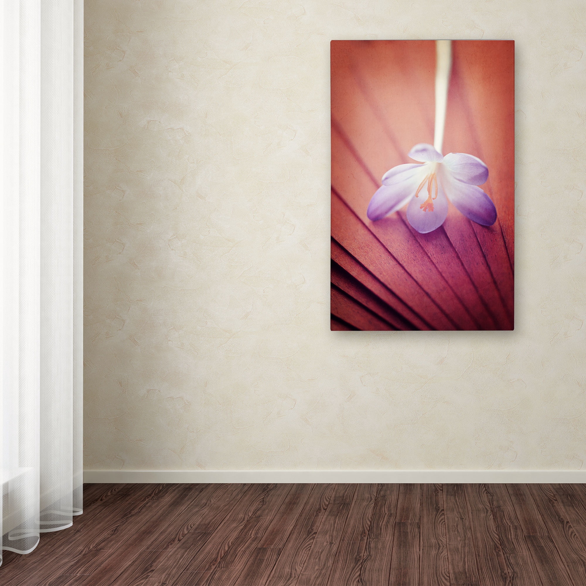 Trademark Fine Art "Access to Desires" Canvas Art by Philippe Sainte-Laudy