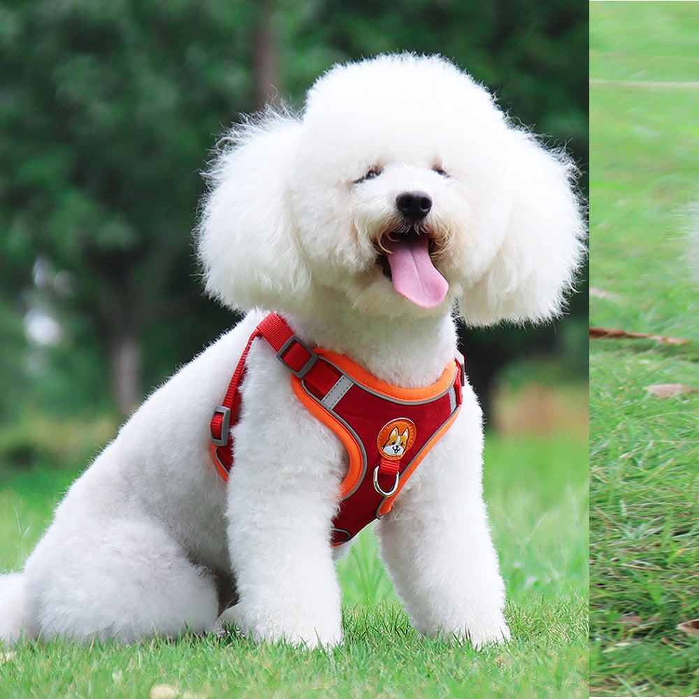 Puppy Harness with Tow Rope, Pet Chest Harness Vest for Little Dog and Cats