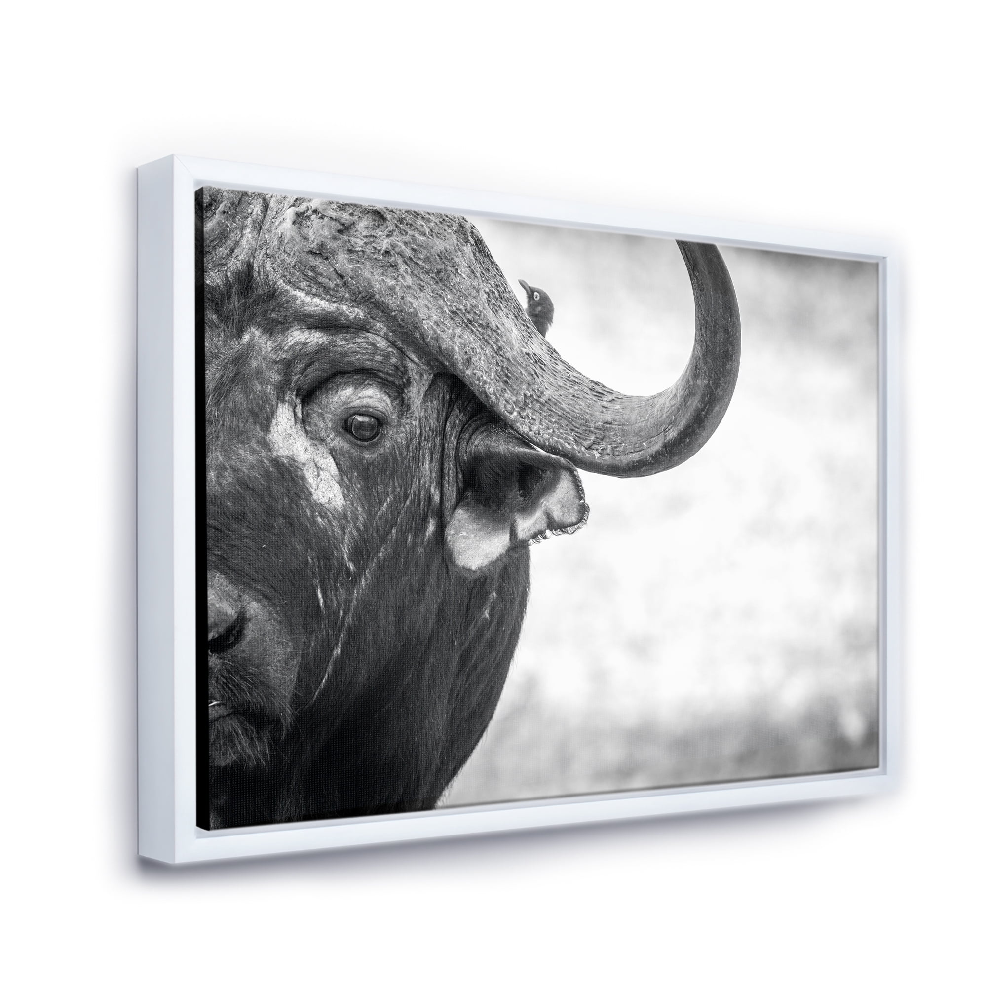 Black and White Portrait Of Buffalo III 40 in x 30 in Framed Photography Canvas Art Print, by Designart