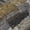 Black, variant on Addison Rugs Chantille Indoor/Outdoor Contemporary Abstract Black Machine Washable Rectangle Rug, 10' x 14'