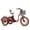 Red, variant on ADDMOTOR U-750 Electric Tricycle for Adults, 750W Tilting eTrike, 48V 20AH 85 Miles Electric Trike, Step-Thru Fat Tire 3 Wheel Electric Bike, Big Front & Rear Basket, Parking Brake, Mint Green