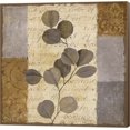 thumbnail image 1 of Parchment II by Yuna, Canvas Wall Art, 1 of 1
