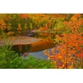 thumbnail image 2 of Jaynes Gallery 24x17 White Modern Wood Framed Museum Art Print Titled - Canada-Nova Scotia Indian Brook and forest in autumn, 2 of 4