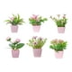 thumbnail image 5 of 6 piezas de flores artificiales en maceta, mini plantas rústicas en maceta. Estilo B, 5 of 9
