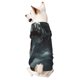 thumbnail image 1 of Balery Cloud White Dragon Sudadera con Capucha para Perros Pequeños – Ropa para Mascotas, Disfraz para Perros y Gatos, Ideal para Fiestas y Cosplay-XX-Large, 1 of 7