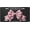 Chic Pink Ribbon Bow, variant on Faith Hope Love License Plate, Aluminum Front Vanity Tag, 4 Holes, Car Decor, 6 x 12 in