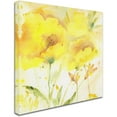 thumbnail image 2 of Trademark Fine Art "Sunlight Blooming" Canvas Art by Sheila Golden, 2 of 3