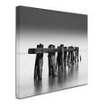 thumbnail image 3 of Trademark Fine Art "Weathered" Canvas Art by Dave MacVicar, 3 of 4