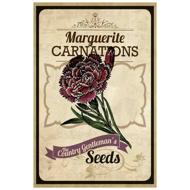Marmont Hill "Flower Packet Carnation" Painting Print on Canvas