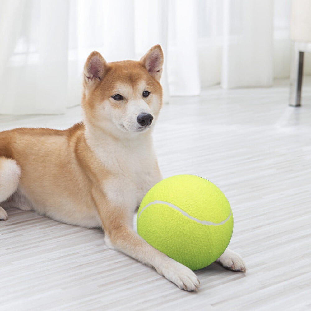 Giant tennis ball dog toy best sale