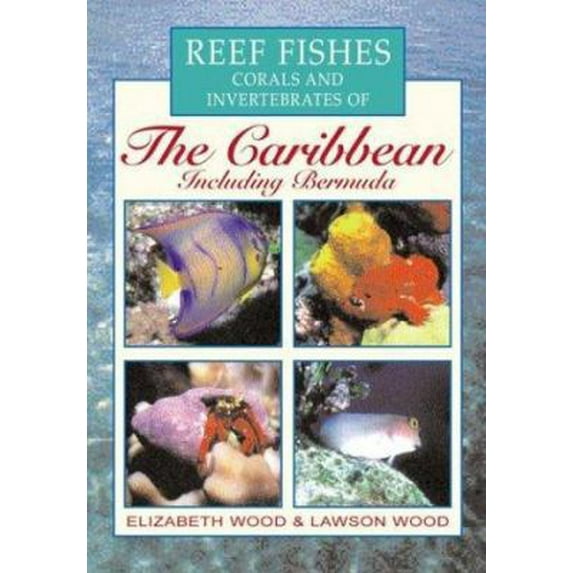Pre-Owned Reef Fishes Corals and Invertebrates of the Caribbean : A Diver's Guide (Paperback) 0658013092 9780658013096