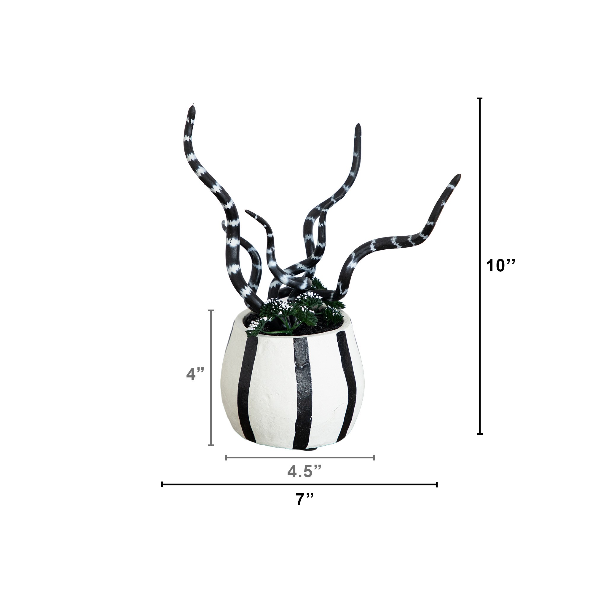 10in. Artificial Halloween Midnight Stripe Snake Plant in Decorative Planter