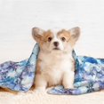 thumbnail image 4 of Disketp Icy Blue Snowflakes Dog Blanket/Bed Cover for Dogs and Cats,Puppy Essentials-Large, 4 of 8