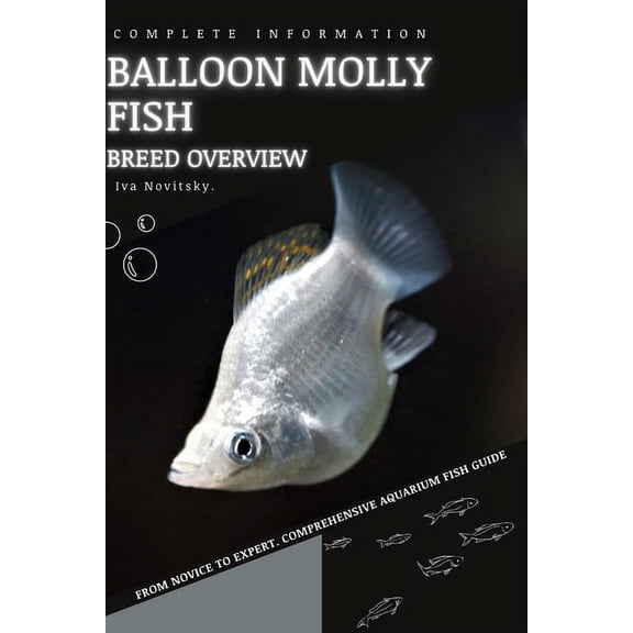 Balloon Molly Fish: From Novice to Expert. Comprehensive Aquarium Fish Guide (Paperback)