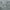 Gray, variant on SUSUZI 5 x 7 ft Shaggy Area Rugs for Bedroom Living Room Large Fluffy Floor Rugs Soft Carpet Rugs Home Décor, Gray