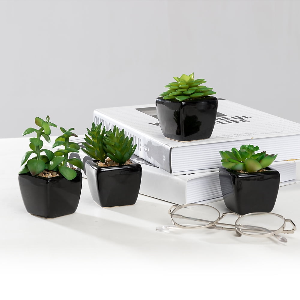 K-Cliffs Set of 4 Mini Artificial Succulents Potted in Cube-Shape Black Ceramic Pots , Dimensions(in inches):  11.0L x 3.0W x 4.3H"