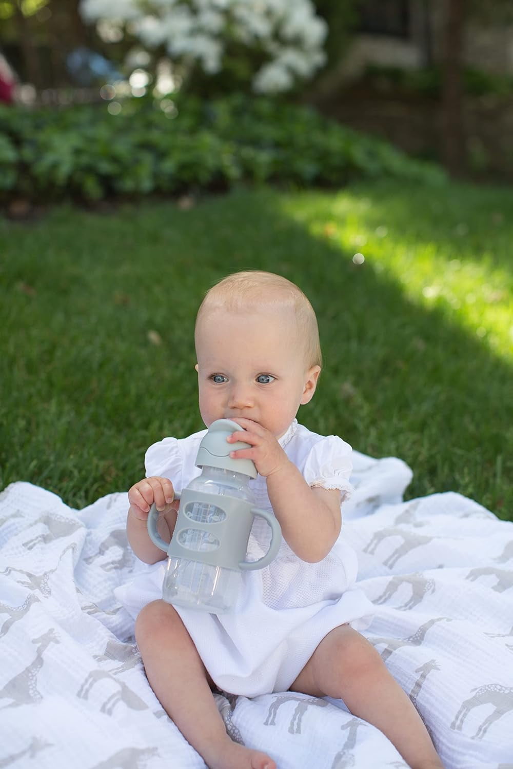 Dr. Brown's Milestones Wide-Neck Sippy Straw Bottle, 100% Silicone Handles, 9oz/270ml, 6m+, Gray