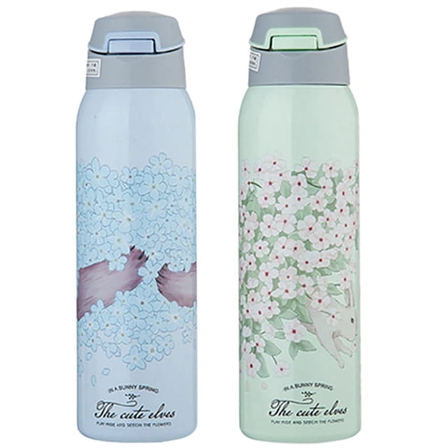 2 botellas de agua caliente de 450 ml con doble pared, termo de acero inoxidable 304 con pajita, color azul y verde