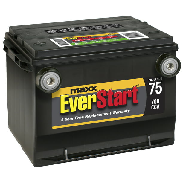 EverStart Maxx Lead Acid Automotive Battery, Group 75n (12 Volt/700 CCA ...