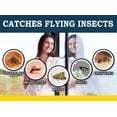 thumbnail image 4 of Trampas para ventanas MaxGuard Catch & Kill Houseflies 24 XL, 4 of 6