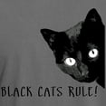 thumbnail image 3 of CafePress - BLACK CATS RULE T Shirt - Mens Comfort Colors Shirt, 3 of 5