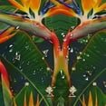 thumbnail image 5 of Orinice Tropical Bird of Paradise Shower Curtains,Halloween Decor Shower Curtain Liner for Bathroom with 12 Hooks  36x72, 5 of 7
