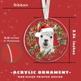 thumbnail image 2 of Adorno navideño acrílico TEEBIM Llama, 9 cm, decoración navideña, 2 of 6