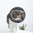 thumbnail image 1 of Halloween Bats Soft Cat Dog Recovery Collar Adjustable Cat Cone Wound Healing Protective After Surgery for Medium Dogs, 1 of 7