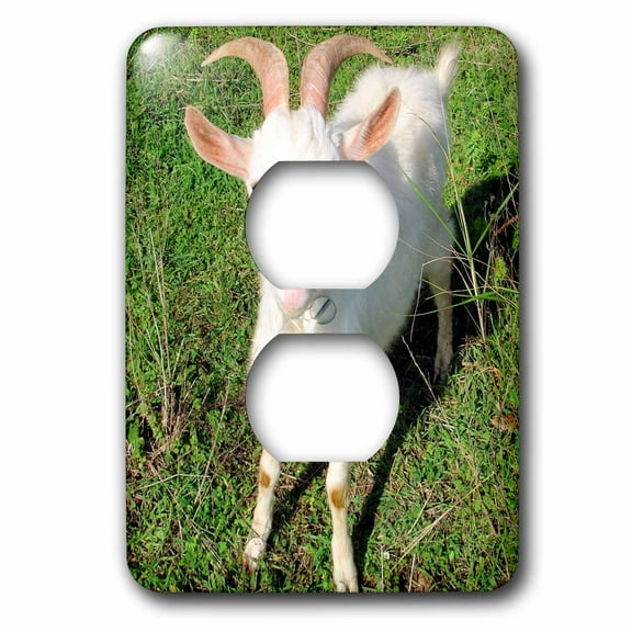 3dRose, Farm Animals Goat, 2 plug outlet cover
