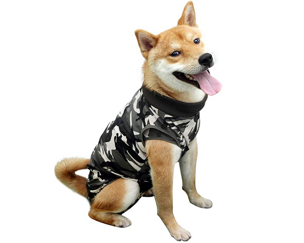 dotoner recovery suit