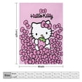 thumbnail image 2 of Hello Kitty Blanket for Women Girls Flannel Blanket Cute Throw Blanket Fluffy Blanket Cat Theme Soft Blanket for Travel Bed Sofa Couch Birthday Gifts for Kids Adult,Pink 80X60, 2 of 9