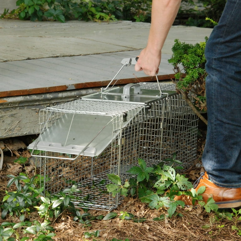 Havahart 1-door Easy Set Large Animal Trap – Wholesale Pet Supplies