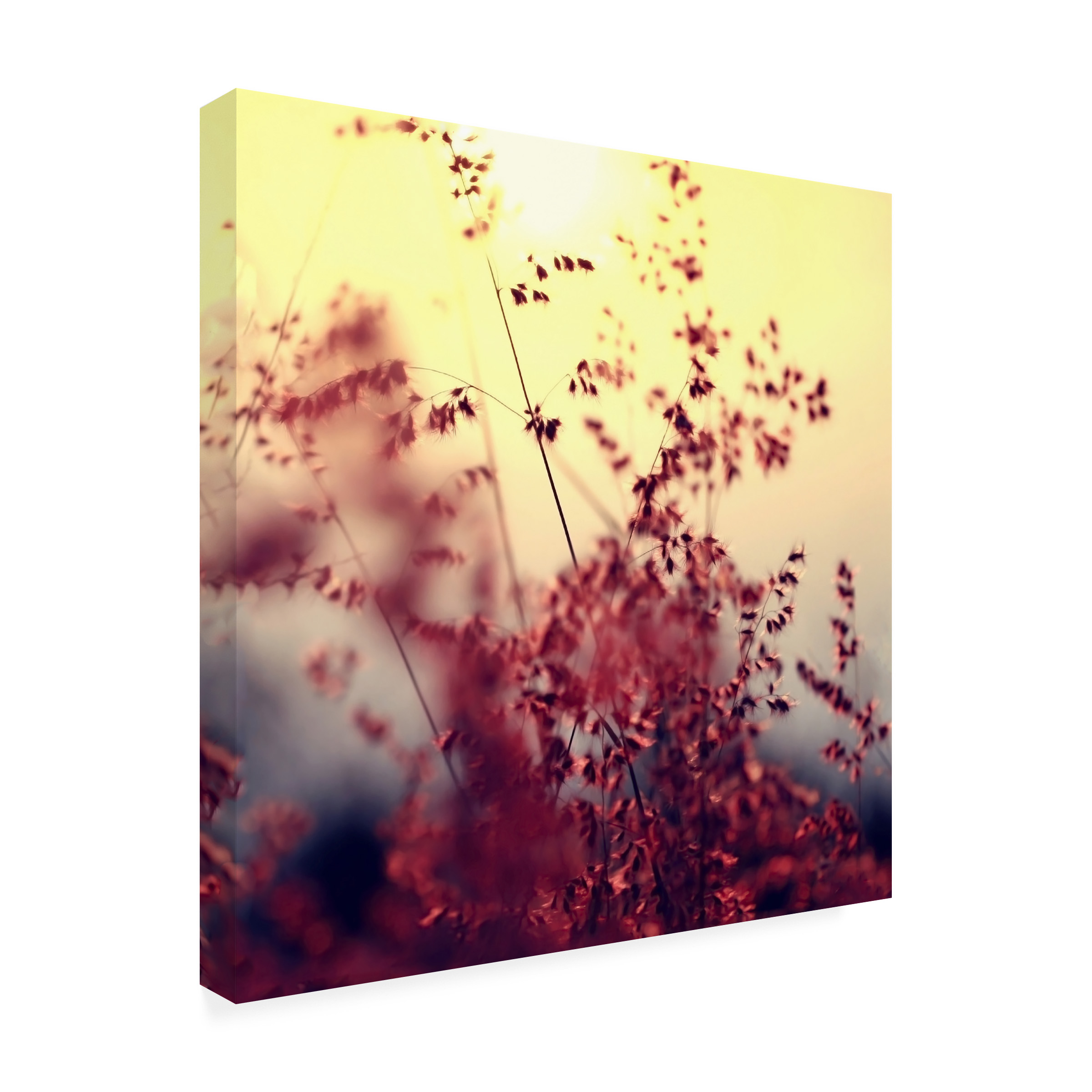 Trademark Fine Art "Memories of You" Canvas Art by Beata Czyzowska Young