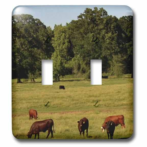 3dRose, A field with cows, double toggle switch