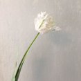 thumbnail image 3 of 1Pc Artificial Flower 68cm 3D Parrot Tulip Real Touch Fake Flower Decor for Home White, 3 of 6