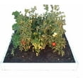 thumbnail image 1 of Handy Bed 4 x 4 Stack-able, White, Vinyl, Raised Garden Bed, 1 of 4