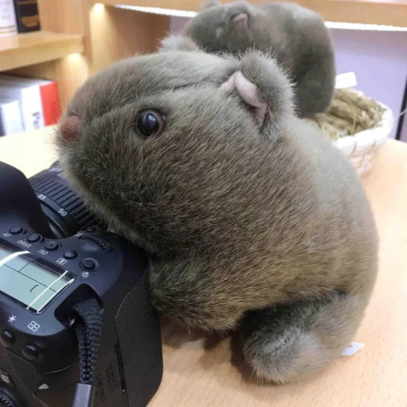 Animal 18-28cm Simulation Wombat Plush Toys Stuffed Wild Guinea Pig Cavia Porcellus Mouse Dolls for Gifts 18cm
