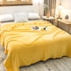 thumbnail image 4 of Manta de Cama de Fleece para Aire Acondicionado - Cubierta Cómoda y Suave, Manta de cama individual de felpa coral adecuada para todas las estaciones, manta ligera de aire acondicionado, manta o ester, 4 of 8