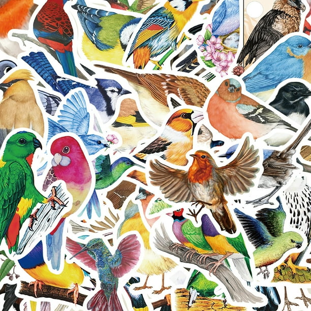 Paquete de pegatinas de vinilo con dibujos animados de palomas, 50 unidades