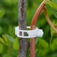 thumbnail image 4 of Jinyi Plant Clips,vines Clips Durable Crop Clips Reusable Plant Connects Clips Ening Tools Accessories For Ling Grafting Vet, 4 of 5