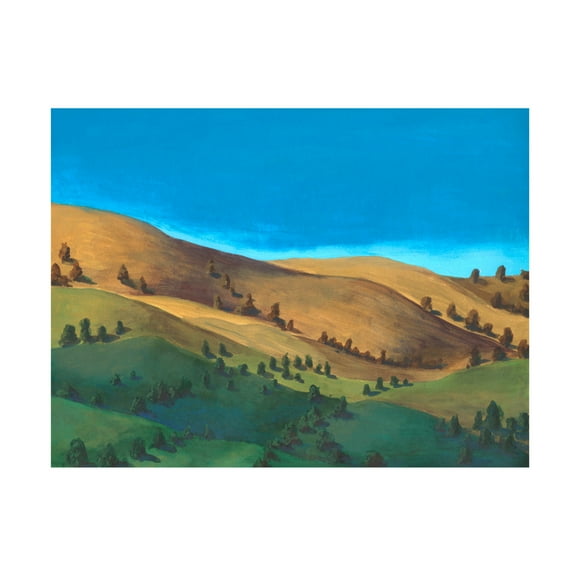 Trademark Fine Art Michael Willett  Golden Hillsides I Canvas Wall Art