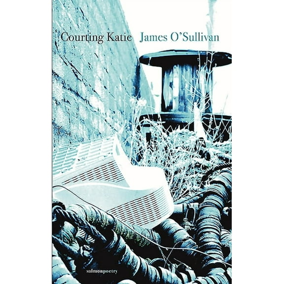 Courting Katie (Paperback)