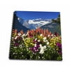 3dRose Flowers at Lake Louise, Banff National Park, Alberta, Canada - Mini Notepad, 4 by 4-inch
