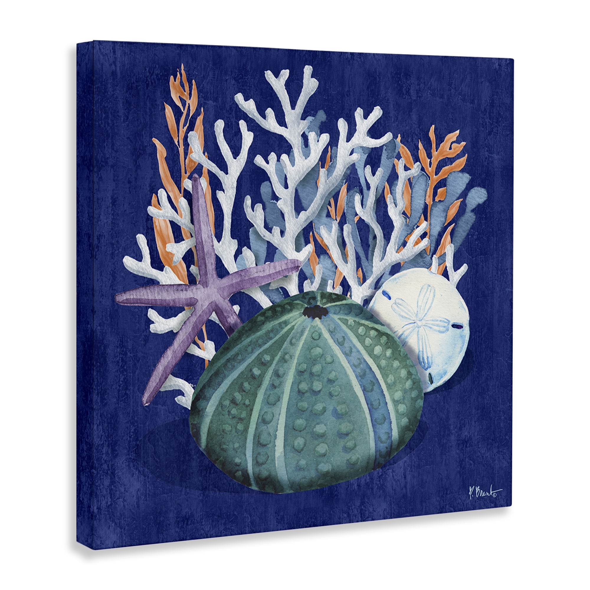 Stupell Industries Monterey Urchin & Coral Coastal Painting Gallery Wrapped Canvas Art Print Wall Art, 30 x 30