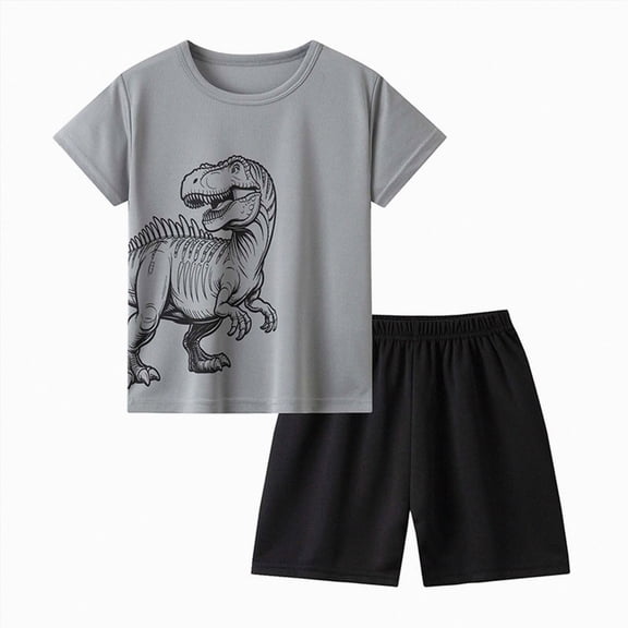 KPOPLK Toddler Boy Clothes 2 Pieces Cartoon Cute Print Crewneck Short Sleeve Tee Elastic Waist Cargo Shorts Summer Outfits Size 4-5 Years,Grey