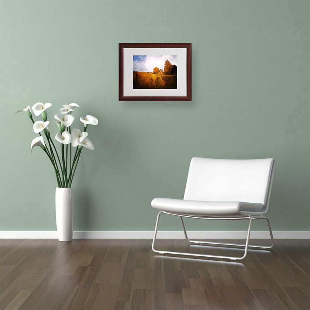 Trademark Fine Art "Light in Vineyards" Canvas Art by Philippe Sainte-Laudy, Wood Frame