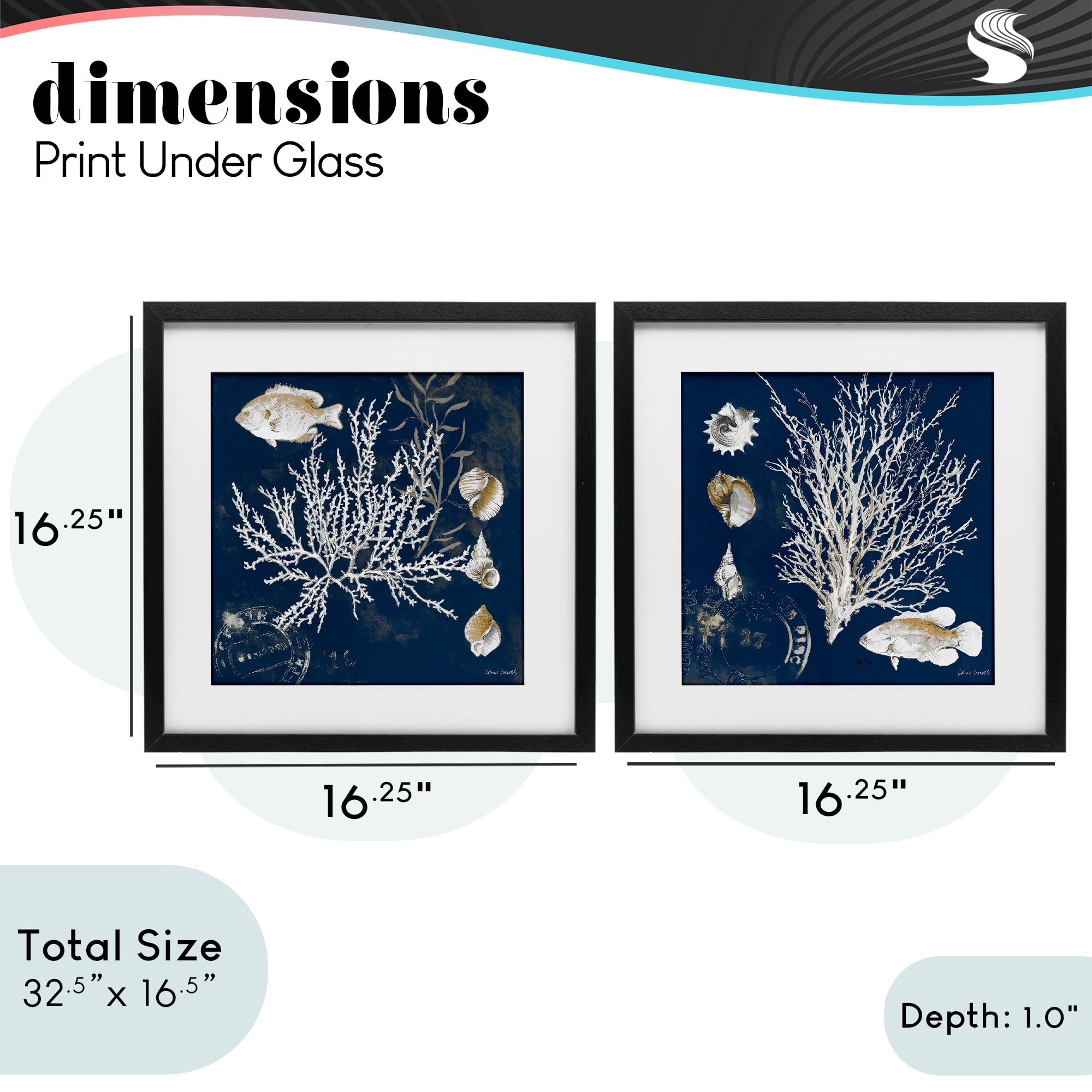 Stupell Industries Navy Coral Medley 2 Piece Black Framed Print Under Glass Set, design by Lanie Loreth